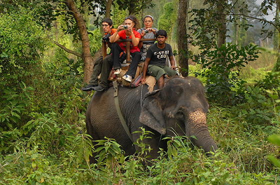 Exclusive all Nepal Tour